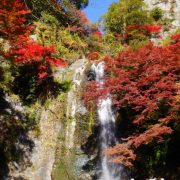 箕面の滝と紅葉